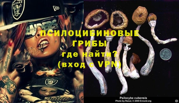 мяу мяу мука Заводоуковск