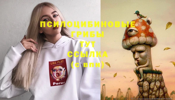 тгк Заволжье