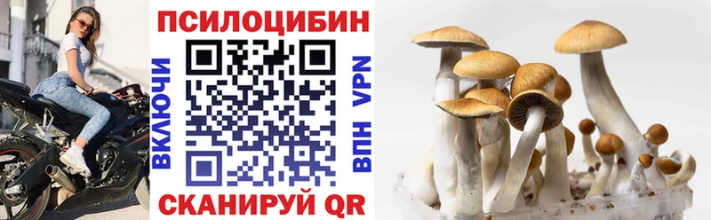 Псилоцибиновые грибы прущие грибы Ростов-на-Дону