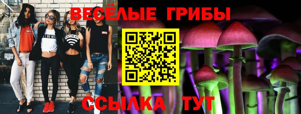 Псилоцибиновые грибы MAGIC MUSHROOMS Ростов-на-Дону